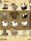 Animal Icons